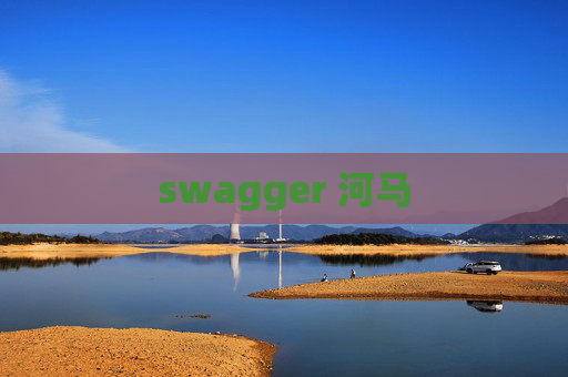 swagger 河马